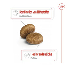 Zwei Kroketten Hundetrockenfutter mit Nährstoff und Vitamin Kombination sowie hochverdaulichen Proteinen