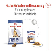 Royal Canin Maxi Adult 5+ Trockenfutter und Royal Canin Maxi Adult in Soße Portionsbeutel für Hunde