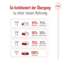 Diagramm zur Futterumstellung für Hunde und Katzen