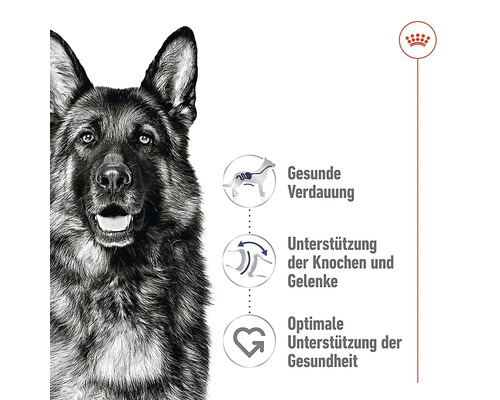 Produktinformationen zu Hundefutter: Gesunde Verdauung, Unterstützung der Knochen und Gelenke, optimale Unterstützung der Gesundheit. Royal Canin Logo.