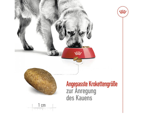 Hund frisst Trockenfutter aus einem roten Napf, die Krokettengröße beträgt circa 1 cm.
