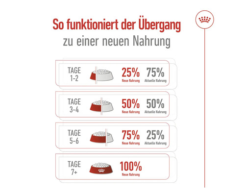 Diagramm zur Umstellung auf neues Hundefutter