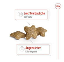 Hundefutter mit leichtverdaulichen Nährstoffen und angepasstem Kaloriengehalt