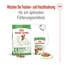 Royal Canin Mini Adult Trocken- und Feuchtnahrung für kleine Hunde bis 10 Kilogramm