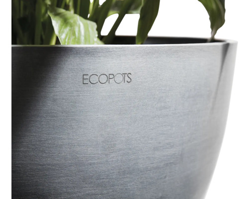 Pot de fleurs ECOPOTS avec plantation