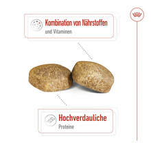Zwei Hundefutterstücke mit dem Hinweis Kombination aus Nährstoffen und Vitaminen sowie hochverdauliche Proteine