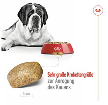Ein Bernhardiner liegt neben einer roten Schüssel mit Hundefutter. Eine einzelne Krokette wird mit ihrer Größe von einem Zentimeter dargestellt.
