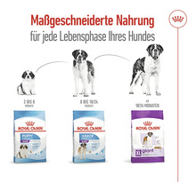 Royal Canin Hundefutter für jede Lebensphase