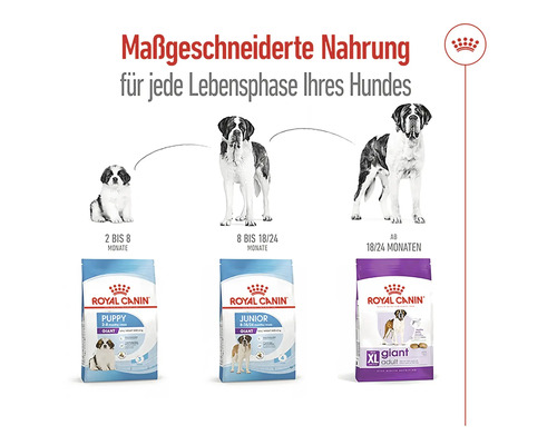 Royal Canin Hunde Trockenfutter für jede Lebensphase