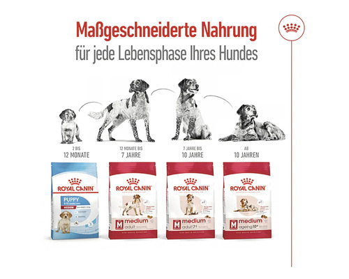 Royal Canin medium Hundefutter für jede Lebensphase