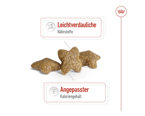 Katzenfutterkroketten in Sternform mit Hinweisen auf leichtverdauliche Nährstoffe und angepassten Kaloriengehalt