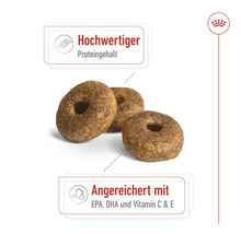 Hundefutter trocken ROYAL CANIN Medium Ageing +10 15kg