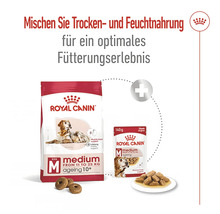 Hundefutter trocken ROYAL CANIN Medium Ageing +10 15kg