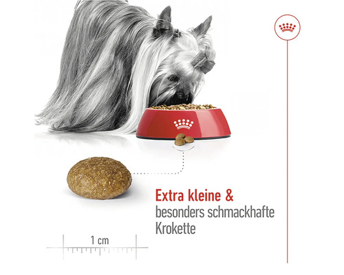 "Hund frisst Trockenfutter aus einem Napf