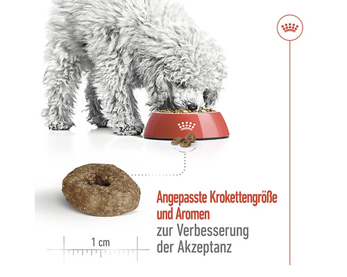 Hund frisst Trockenfutter aus einem Napf, Krokettengröße circa 1 cm