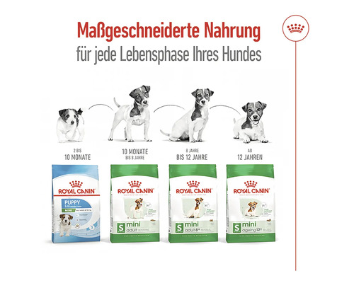 Royal Canin Hundefutter für jede Lebensphase
