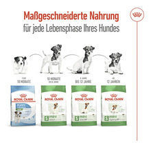 Royal Canin Hundefutter für jede Lebensphase des Hundes