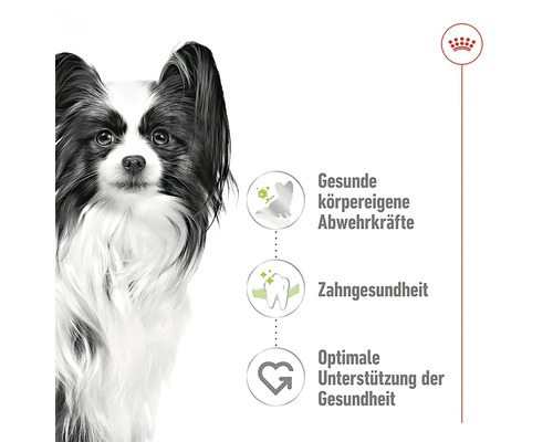 Darstellung der gesundheitlichen Vorteile des Hundefutters: Unterstützung der körpereigenen Abwehrkräfte, Zahngesundheit und optimale Gesundheitsunterstützung