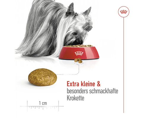 Ein Hund frisst extra kleine und schmackhafte Hundekroketten aus einer roten Schüssel