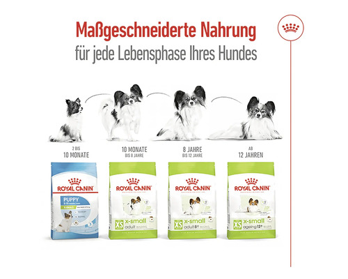 Royal Canin Hundefutter für jede Lebensphase eines Hundes