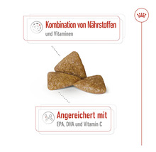 Katzenfutterkroketten mit Nährstoffen und Vitaminen