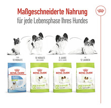 Royal Canin Hundefutter für jede Lebensphase des Hundes