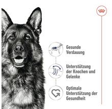 Illustration mit Deutschem Schäferhund und Hinweisen zu gesunder Verdauung, Unterstützung von Knochen und Gelenken, sowie optimaler Gesundheitsunterstützung.
