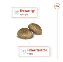 Zwei Kroketten Hundefutter mit Hinweisen auf hochwertige Nährstoffe und hochverdauliche Proteine.