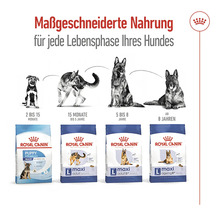Royal Canin Hundenahrung für jede Lebensphase des Hundes
