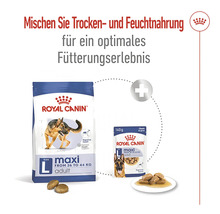 Royal Canin Maxi Adult Trocken- und Feuchtfutter für große Hunde