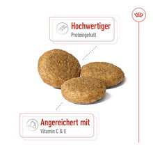 Drei Hundefutter-Kroketten, die einen hohen Proteingehalt und die Vitamine C und E beinhalten.
