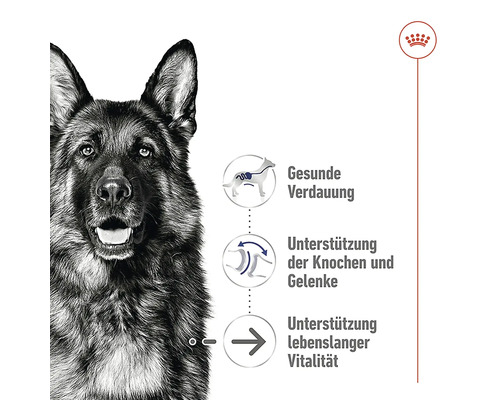 Royal Canin Hundefutter für gesunde Verdauung, Unterstützung von Knochen und Gelenken sowie lebenslange Vitalität.