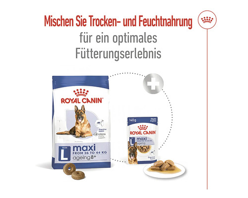 Royal Canin Maxi Hunde Trocken- und Feuchtnahrung für ältere Hunde großer Rassen ab 26 Kilogramm