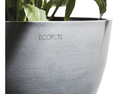 Pot de fleurs ECOPOTS avec plante verte