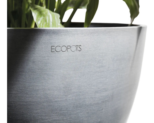 Ecokübel Pflanztopf mit Ecopots Logo