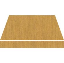 Jute Teppich mit Bordüre