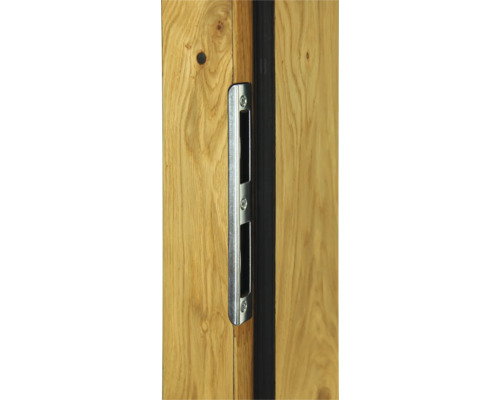Porte avec poignée de porte encastrée en métal