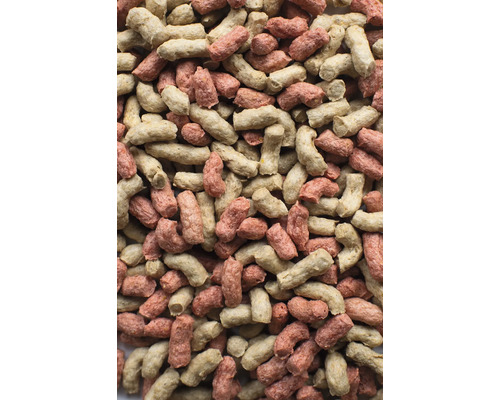 Gros plan de granulés pour animaux