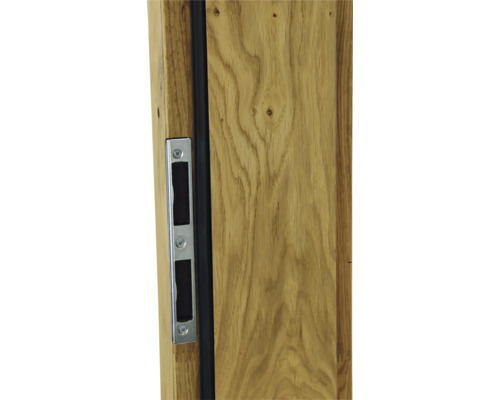 Détail d''une porte en bois avec gâche