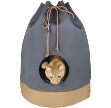 Chat dans une grotte pour chat avec tunnel