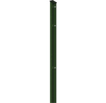 Profilleiste Abdeckleiste Multi 63 cm, grün
