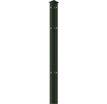Profilleiste Abdeckleiste Multi 63 cm, grün