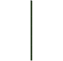 Profilleiste Abdeckleiste Multi 223 cm, grün