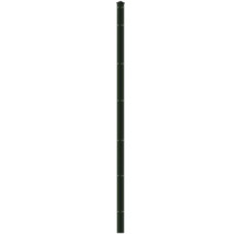 Profilleiste Abdeckleiste Multi 223 cm, grün