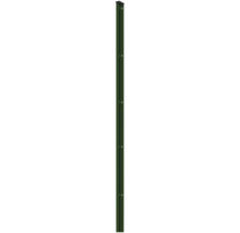 Profilleiste Abdeckleiste Multi 163 cm, grün