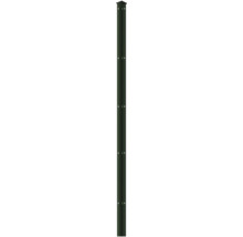 Profilleiste Abdeckleiste Multi 163 cm, grün