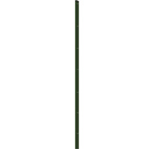 Profilleiste Abdeckleiste Multi 243 cm, grün