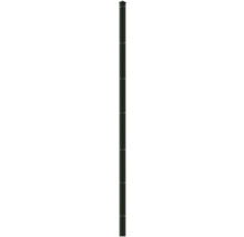 Profilleiste Abdeckleiste Multi 243 cm, grün
