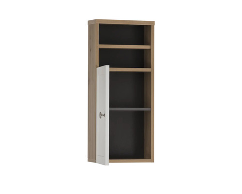 Armoire suspendue avec porte ouverte et étagères