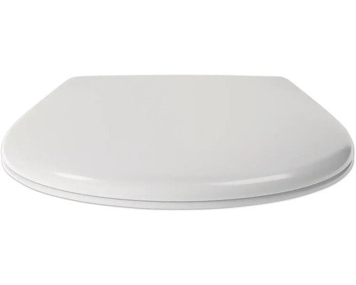Toilettendeckel